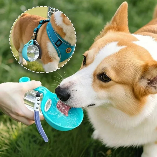 2-in-1 tragbare Trinkflasche und Napf für Hunde